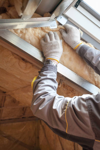 Best Residential Insulation Services  in Encantada Ranchito El Calaboz, TX