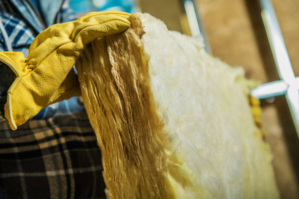 Best Home Insulation Services  in Encantada Ranchito El Calaboz, TX