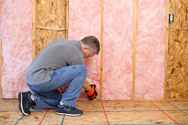 Garage Insulation Installation in Encantada Ranchito El Calaboz, TX
