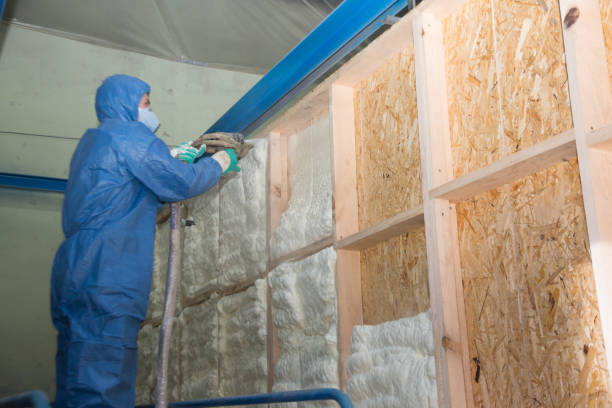 Insulation for Commercial Buildings in Encantada Ranchito El Calaboz, TX