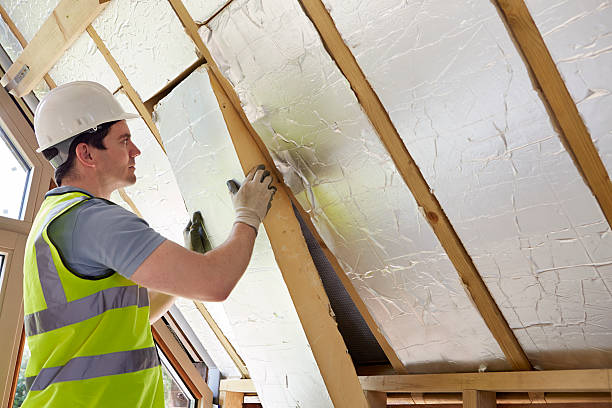 Insulation Replacement Services in Encantada Ranchito El Calaboz, TX
