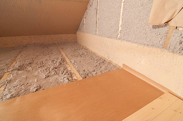 Best Professional Insulation Contractor  in Encantada Ranchito El Calaboz, TX