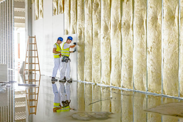 Best Fiberglass Insulation  in Encantada Ranchito El Calaboz, TX